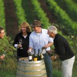 Wijnproeven